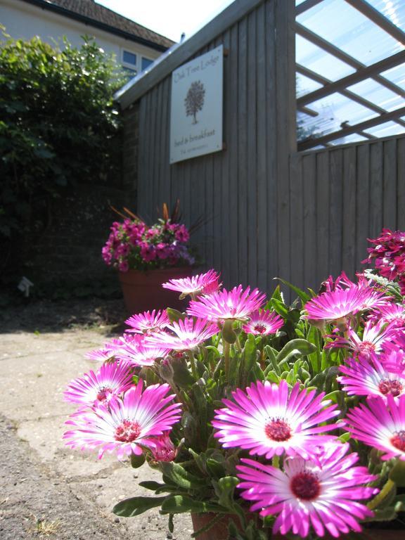 Oak Tree Lodge & Holiday Parking Burstow Екстер'єр фото